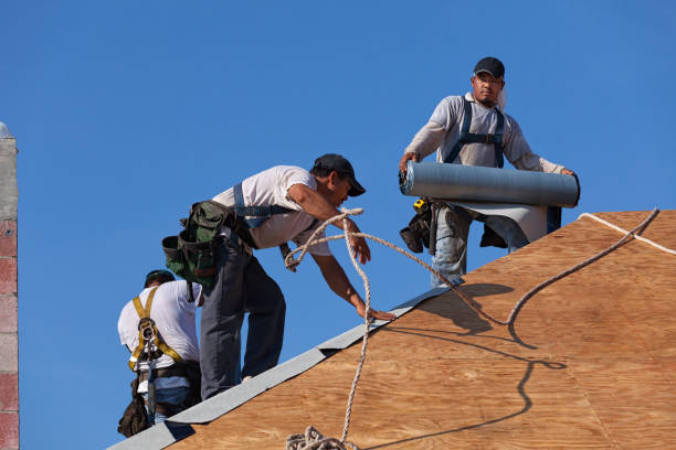 Gutter Installation and Roofing in Pine Air, FL