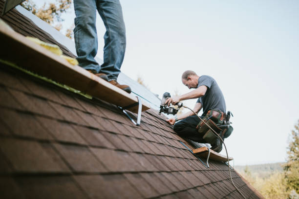 Quick and Trustworthy Emergency Roof Repair Services in Pine Air, FL